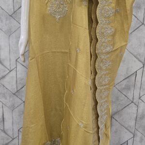 shimmer georgette suit